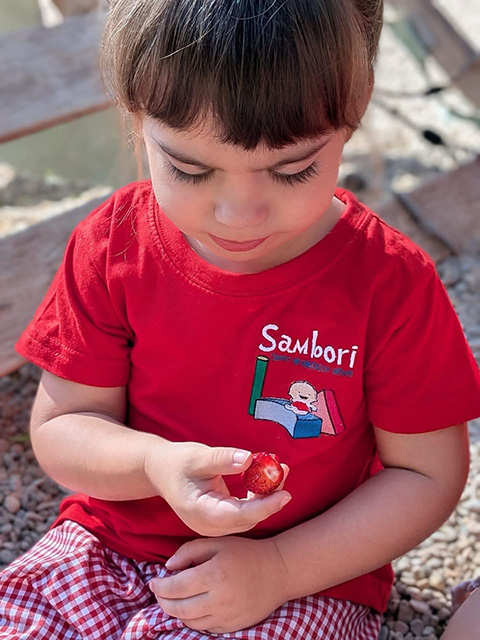 Cuando un niño juega con tierra, manipula una semilla, observa una hoja o descubre un pequeño insecto, está explorando el mundo y absorbiendo todo lo que ve, toca o siente como una esponja.