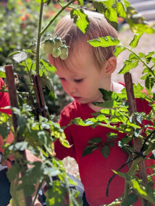 Nuestro proyecto educativo tiene entre sus pilares el respeto y cuidado de la naturaleza, junto con la pedagogía Montessori y el trabajo basado en las inteligencias múltiples.